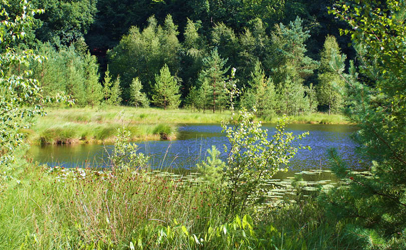 Naturpark Lauenburgische Seen Schleswig-Holstein Aufgaben Ziele Freizeit Naturliebhaber Schutzgebiete Verband Deutscher Naturparke VDN  Naturparke 2030 Naturschutz Erholung Qualitätsnaturpark Qualitätsoffensive Europarc